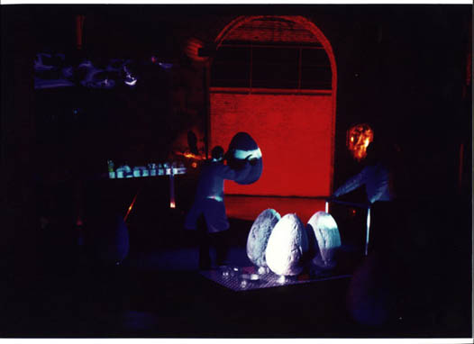 2 - Mettono le uova
